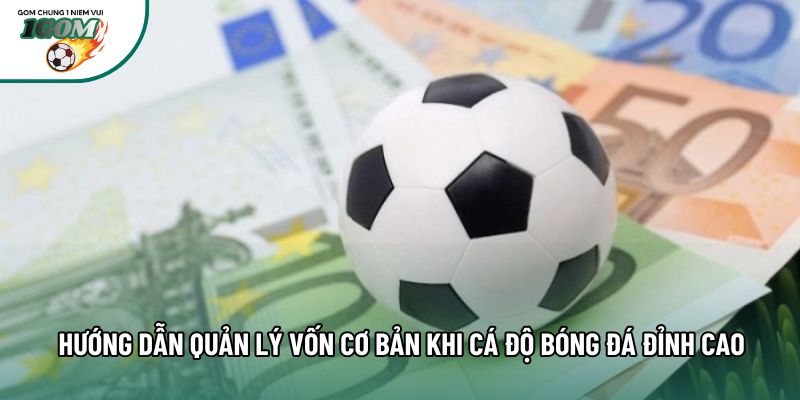 Hướng Dẫn Quản Lý Vốn Cơ Bản Khi Cá Độ Bóng Đá Đỉnh Cao
